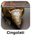 Cingolati